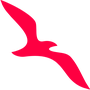 Air Arabia Abu Dhabi