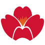 Qingdao Airlines